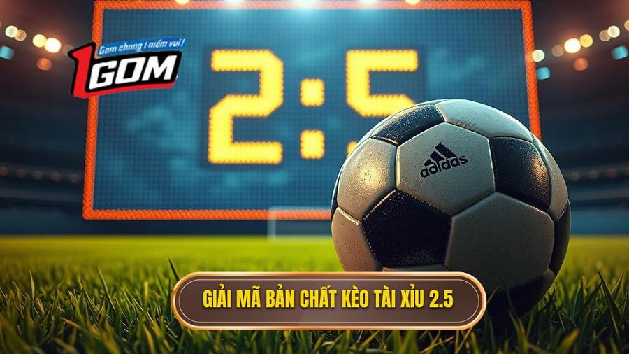 Hiểu đúng về bản chất của kèo tài xỉu 2.5 toàn trận