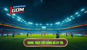 Trực tiếp bóng đá Việt Nam hôm nay