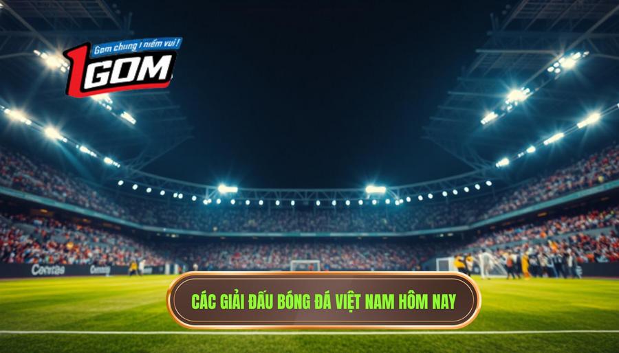 Các giải đấu tiêu điểm khi xem trực tiếp bóng đá Việt Nam hôm nay